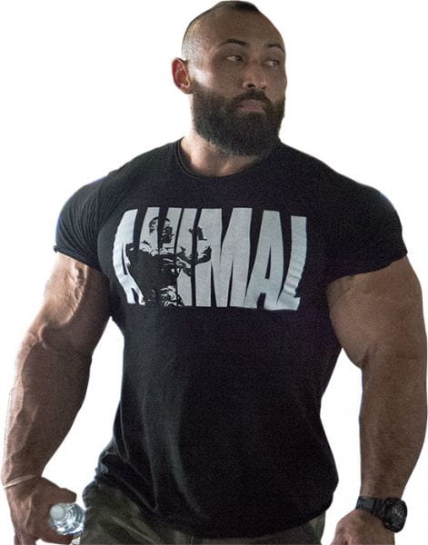 Animal T-Shirt USA Style