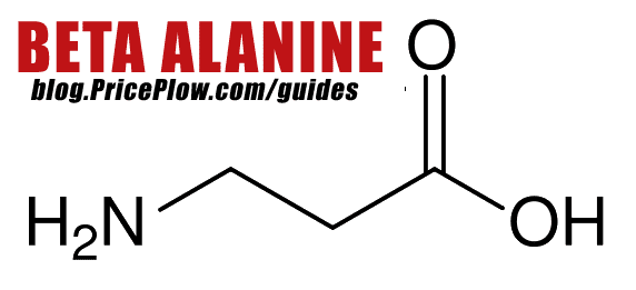 Beta Alanine